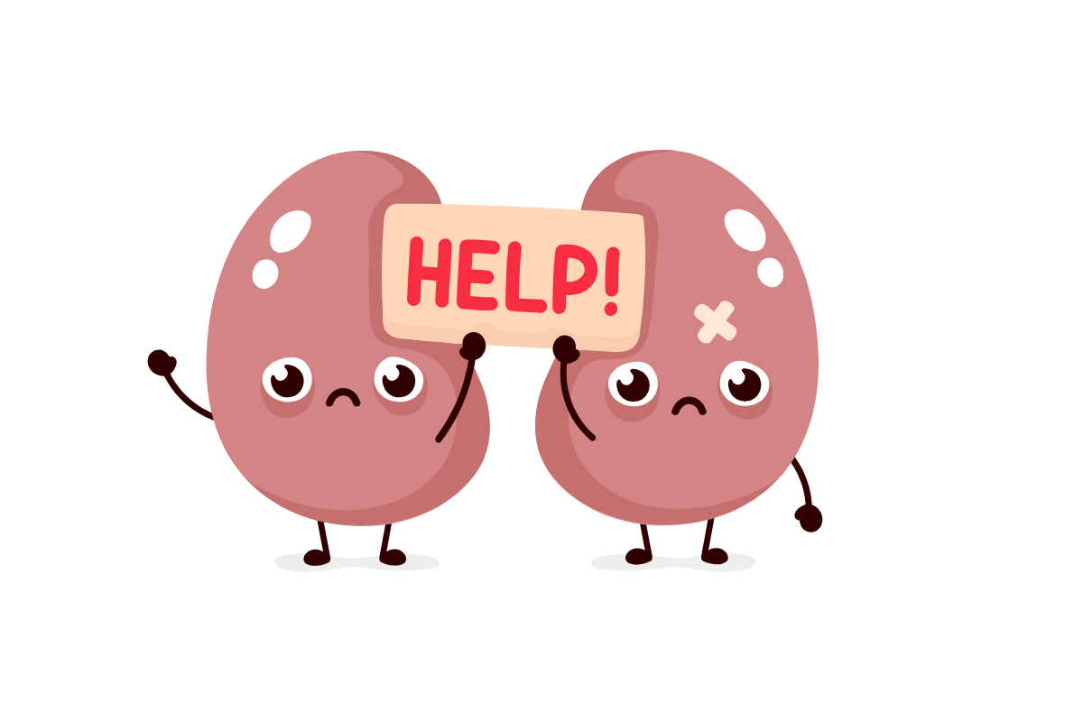 kidneys holding HELP sign