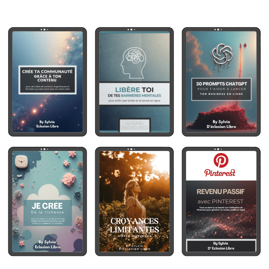 Ma Bibliothèque d'ebooks MRR/PLR