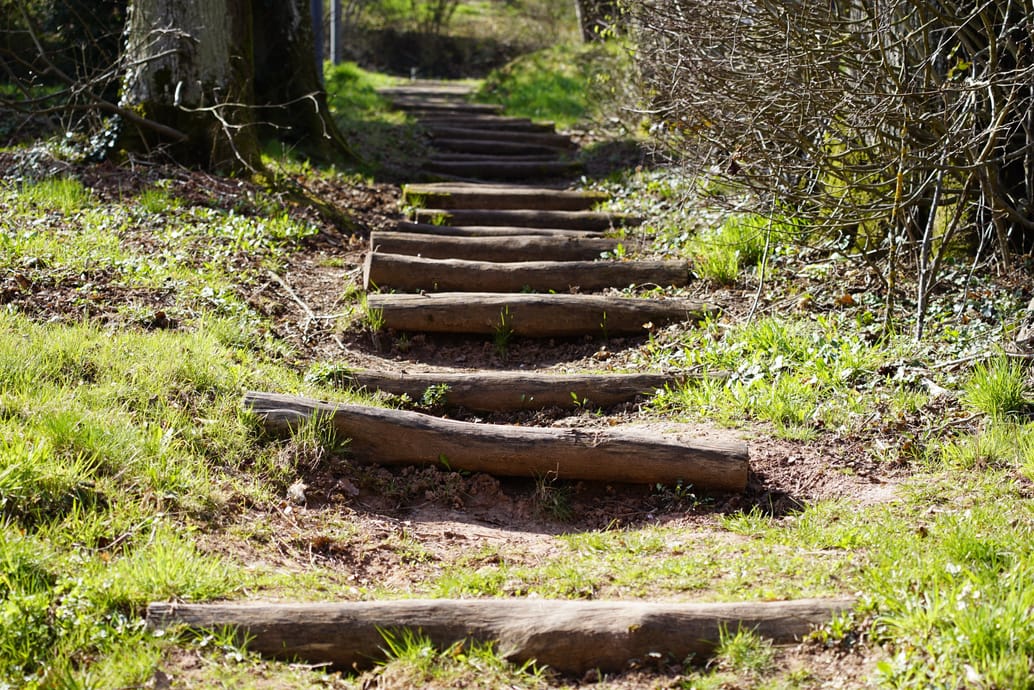 Sunlit woodland steps leading toward the light