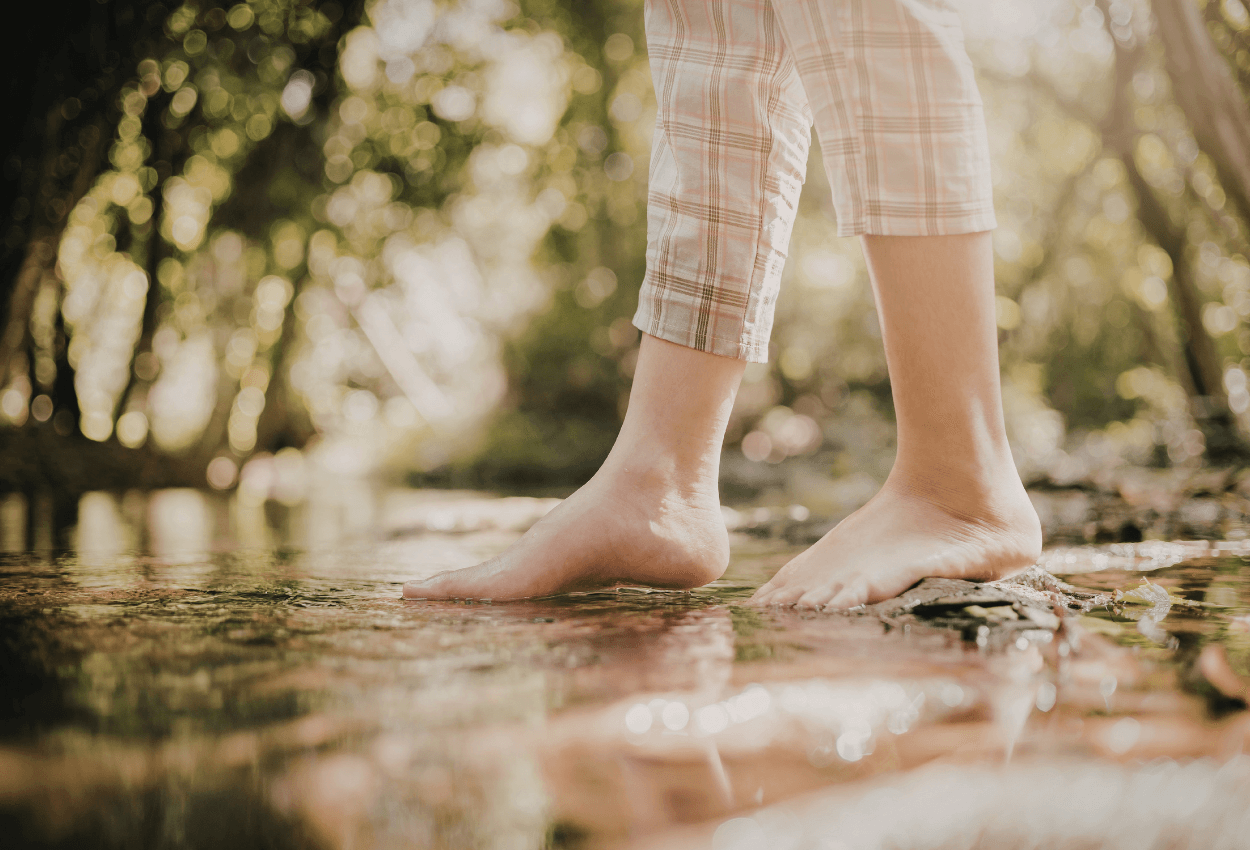 Nature grounding and somatic release sessions| Tauranga| Bay of Plenty| New Zealand