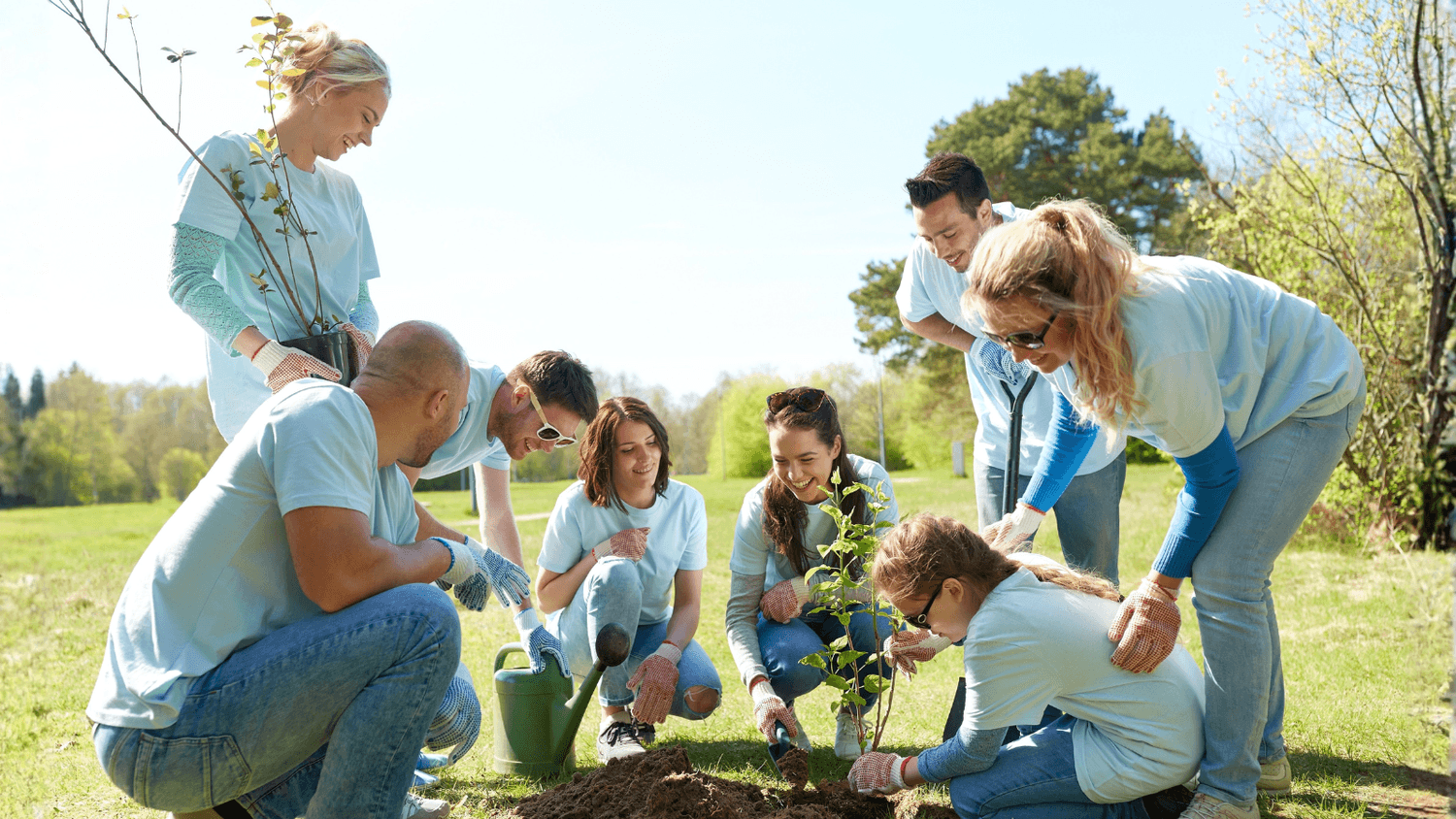 Encounter Creativity Global tree planting mission