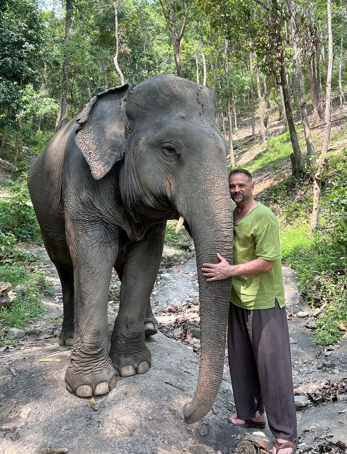 Eric Magnifico standing beside an elephant in a forest sanctuary
