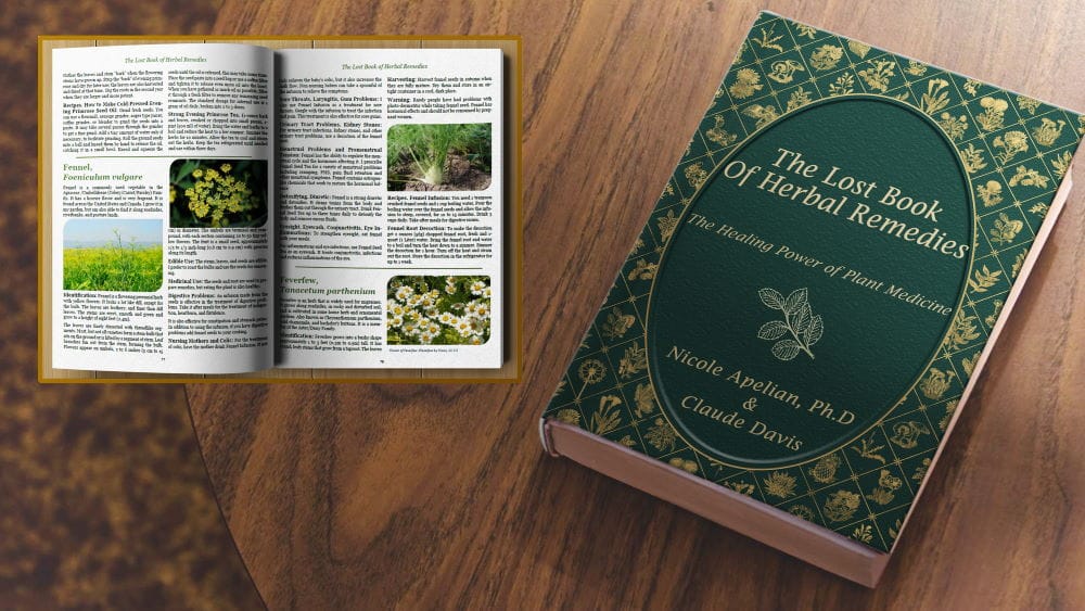The Lost Book of Remedies