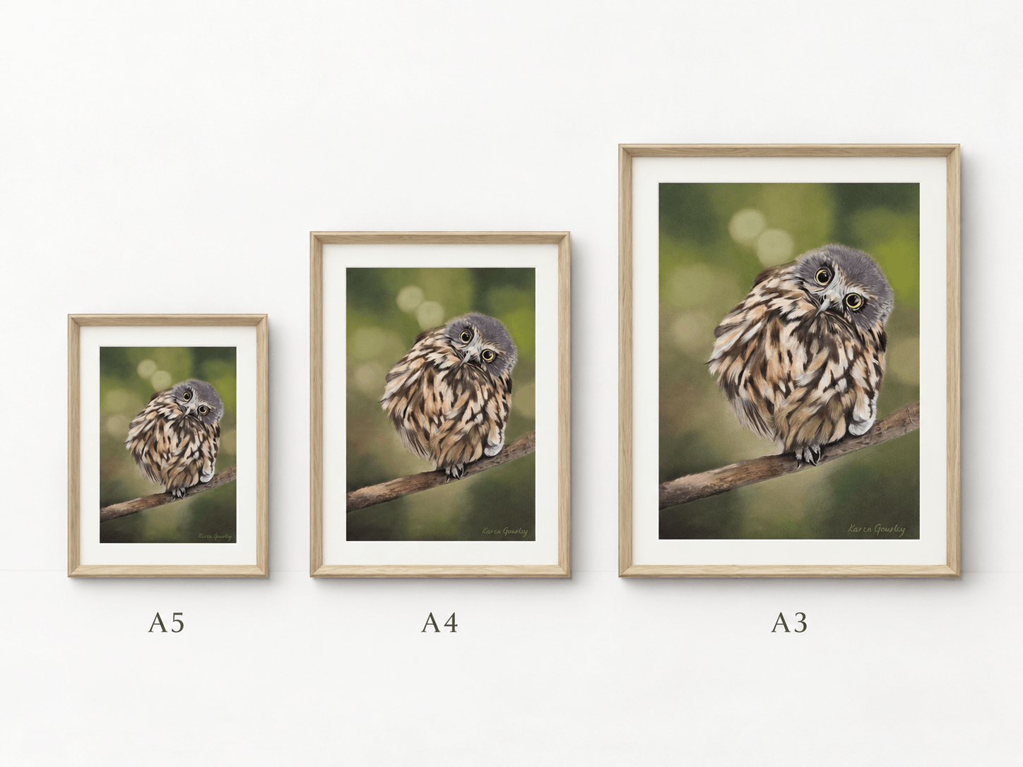 Ruru Morepork A4 and A5 art print