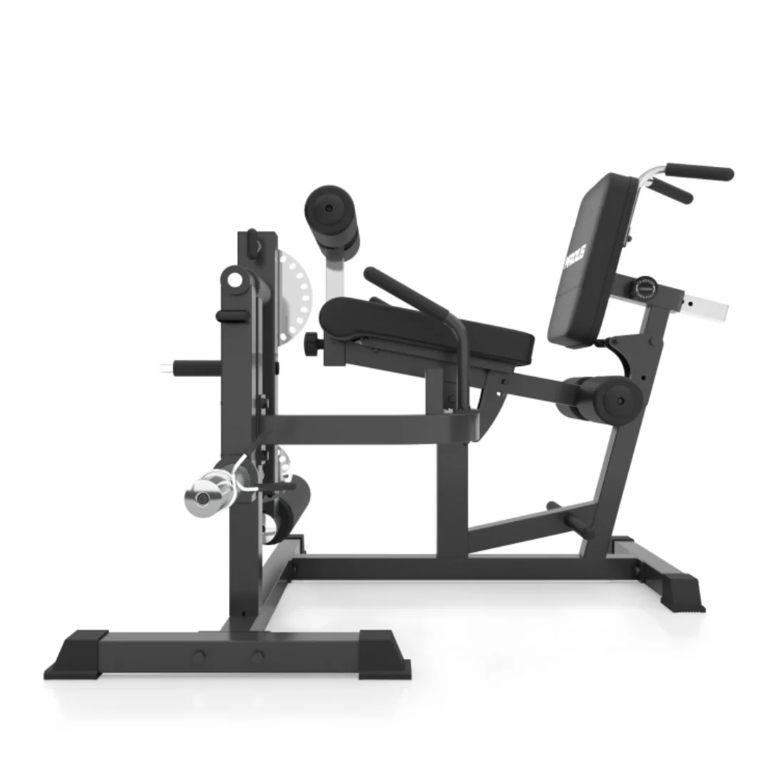 pro maxxus multi trainer