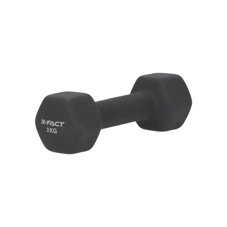gantere 2kg x-fact
