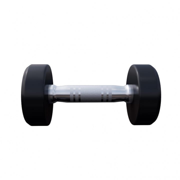 gantera fixa 2,5 kg gorilla sports