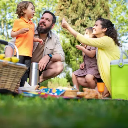 A family enjoying a stress-free picnic