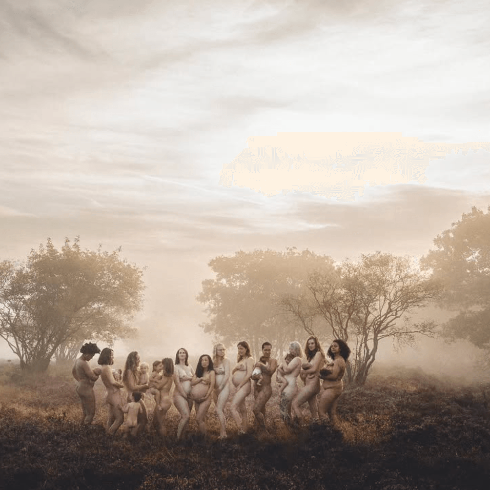 The Motherhood Project 