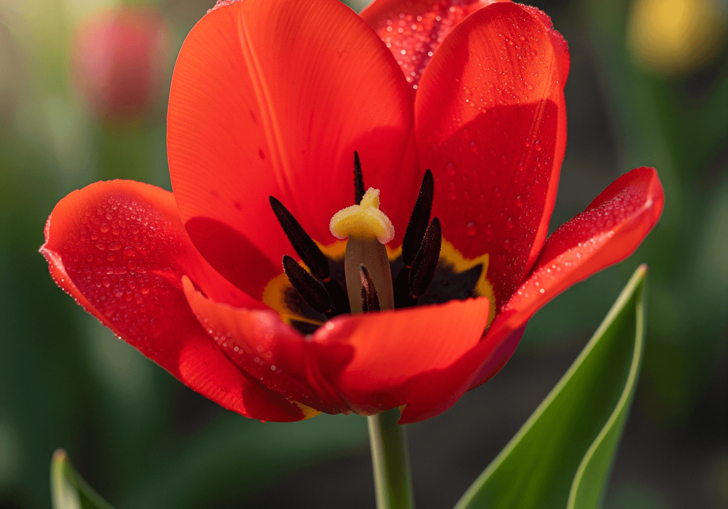 5 Simple Mindfulness Exercises for Stress Relief