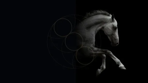 Black horse emerging from shadow