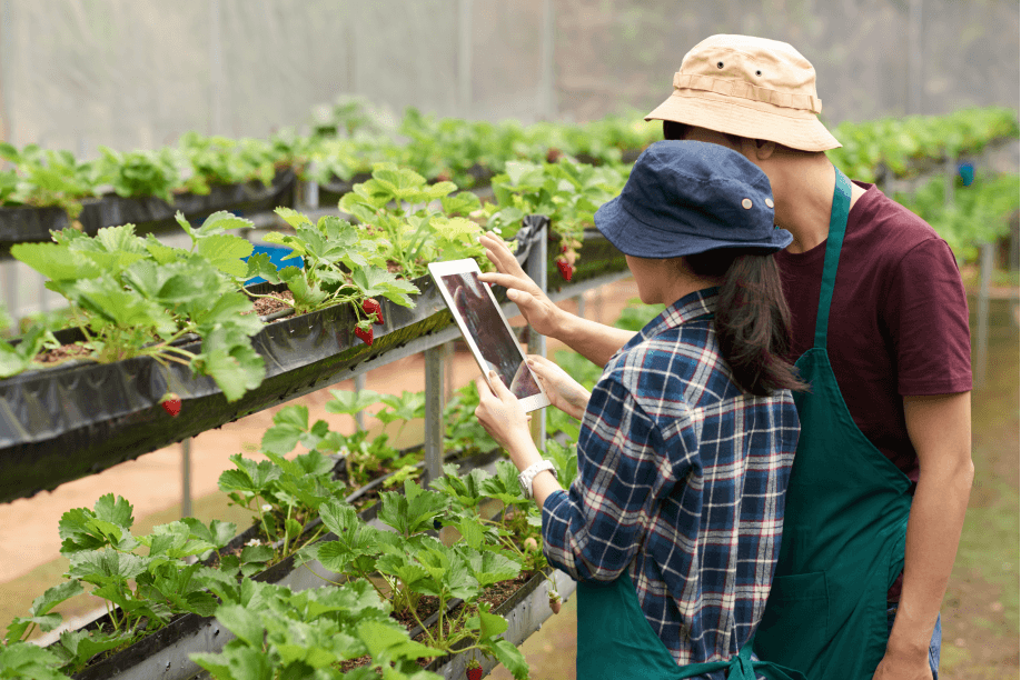 Agricultural AI