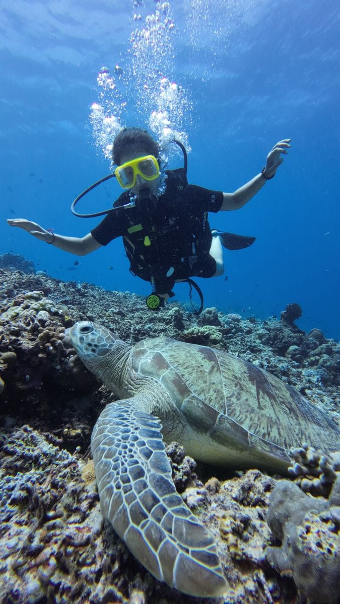 Plongée tortue Gili Bali