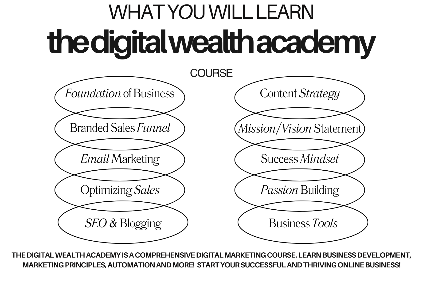 The Digital Wealth Academy with Master Resell Rights