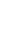 Stakeholder Capital Icon