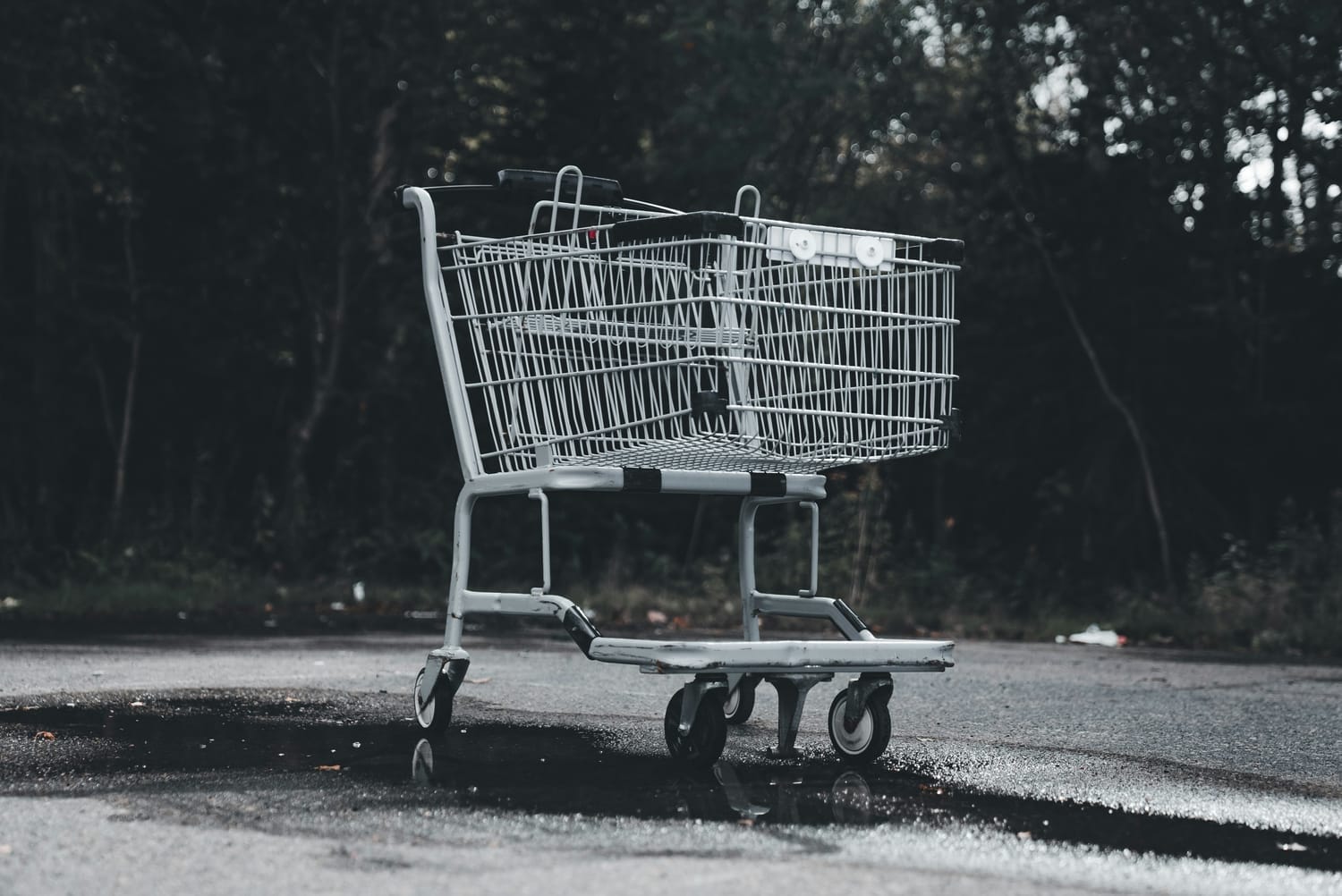 https://images.unsplash.com/photo-1726443221449-5e3727606f7b?q=80&w=1738&auto=format&fit=crop&ixlib=rb-4.0.3&ixid=M3wxMjA3fDB8MHxwaG90by1wYWdlfHx8fGVufDB8fHx8fA%3D%3D