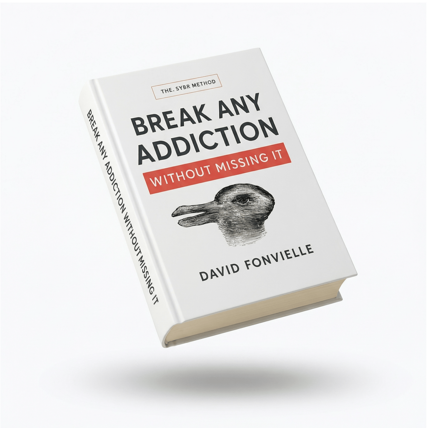 Break Any Addiction Without Missing It book