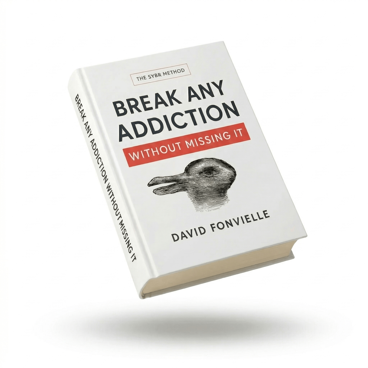 Break Any Addiction Without Missing It book cover