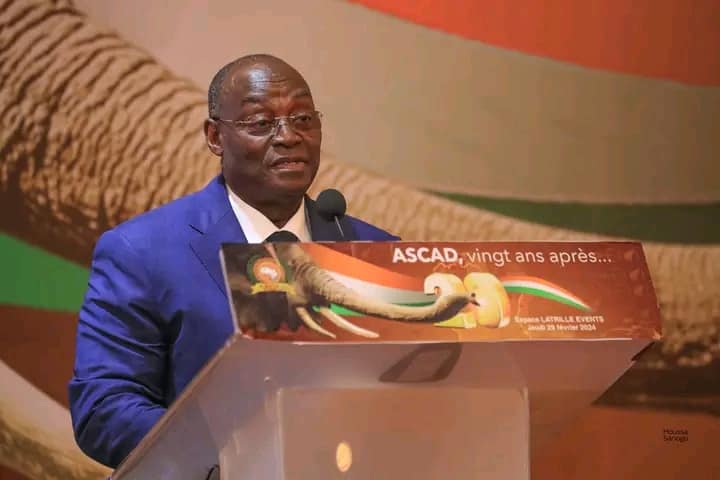 Assemblée Nationale des Jeunes de Côte d'Ivoire