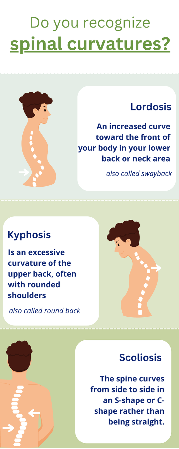 infographic about spinal curvatures