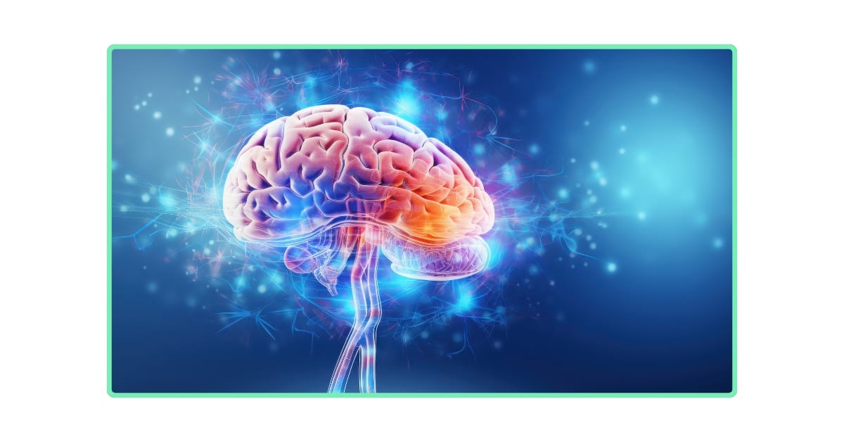 a graphic of human brain