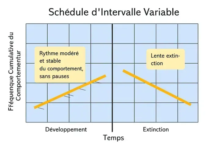 Algorithme Tinder : Variable ration reinforcement