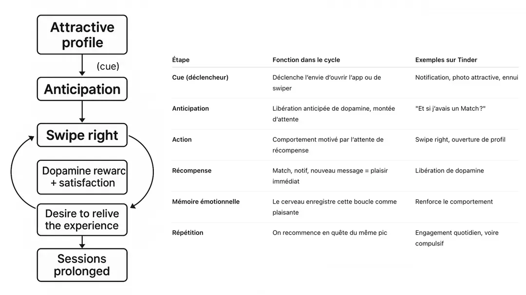 Algorithme de Tinder : Gratification immédiate