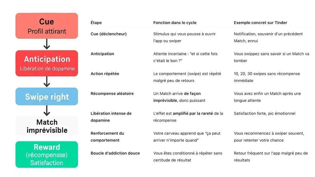 Algorithme de Tinder : Récompense intermittente