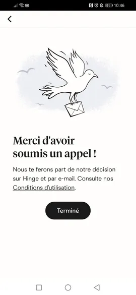 Signalement envoyé sur Hinge