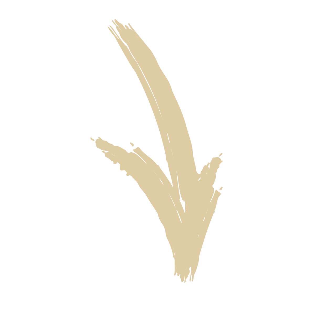 Arrow