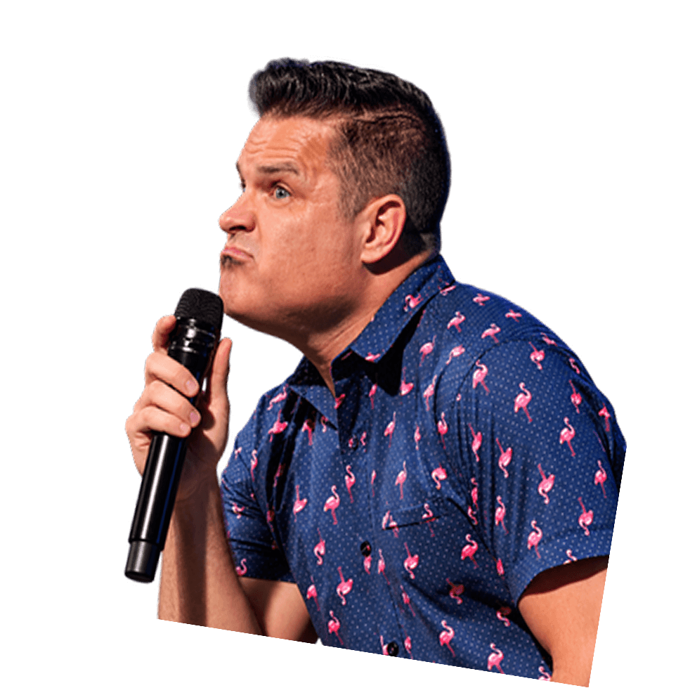 Flamingo season