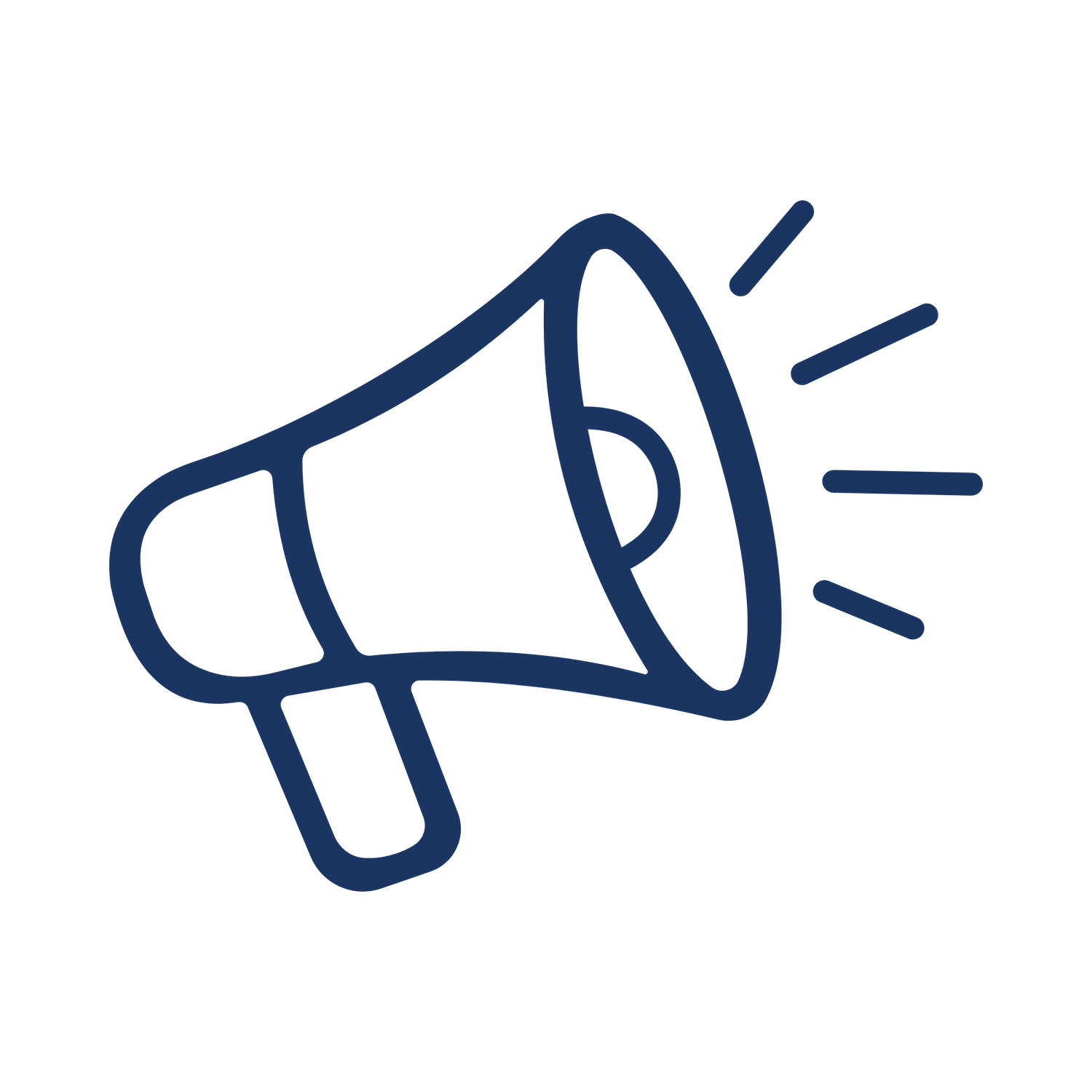 Megaphone icon representing the Amplify phase of the LEAD framework, capturing the human stories behind the impact data