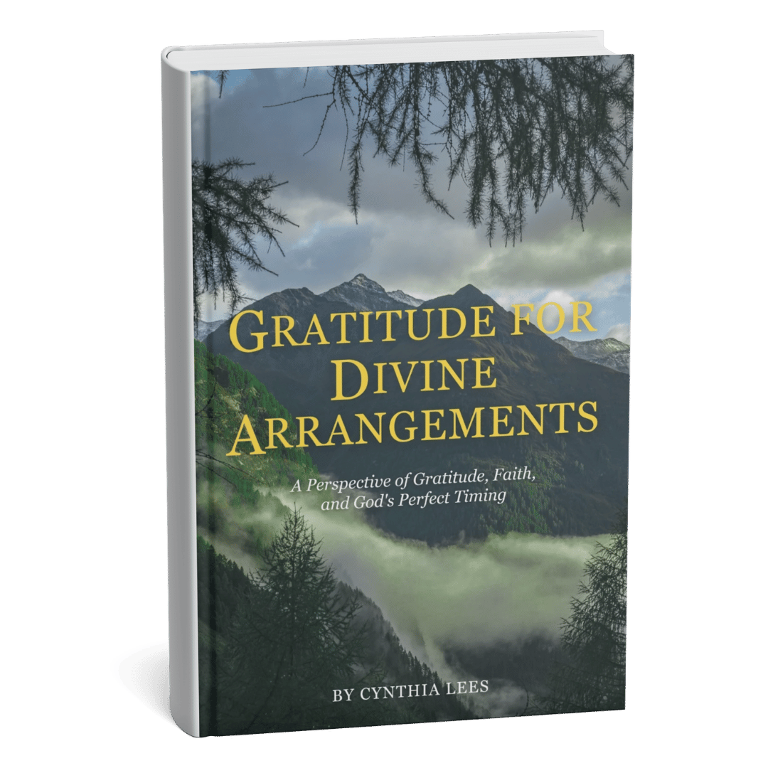 Gratitude for Divine Arrangements by Cynthia Lees, a heartfelt book about gratitude, divine guidance, unexpected blessings, and meaningful moments in everyday life.