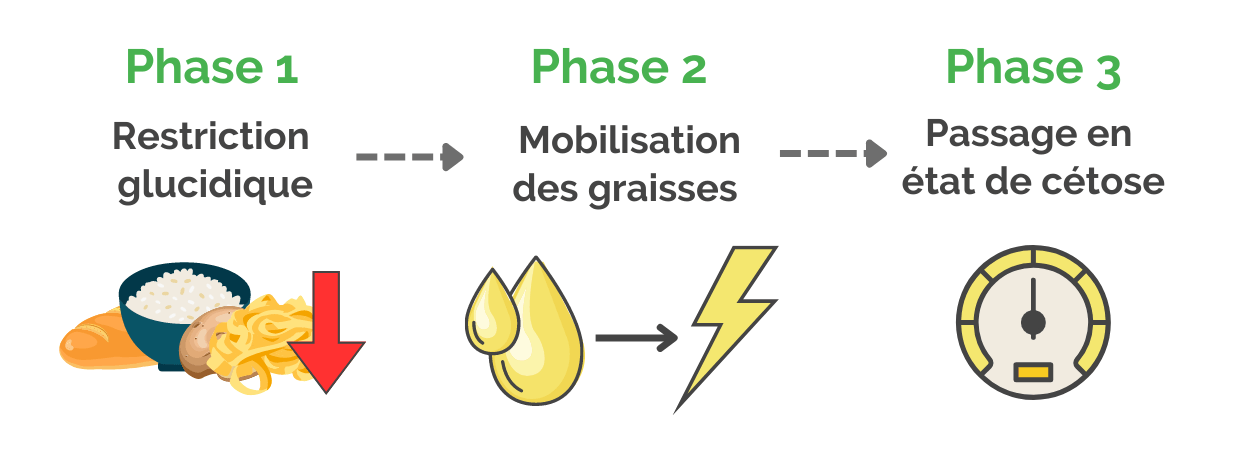 phases-du-regime-cetogene-restriction-cetose