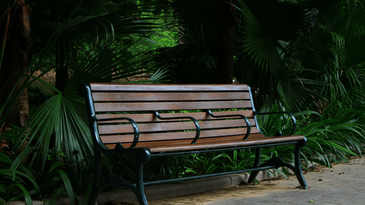 Empty wooden park bench with dark metal arms and legs, surrounded by lush green tropical plants along a paved pathway.