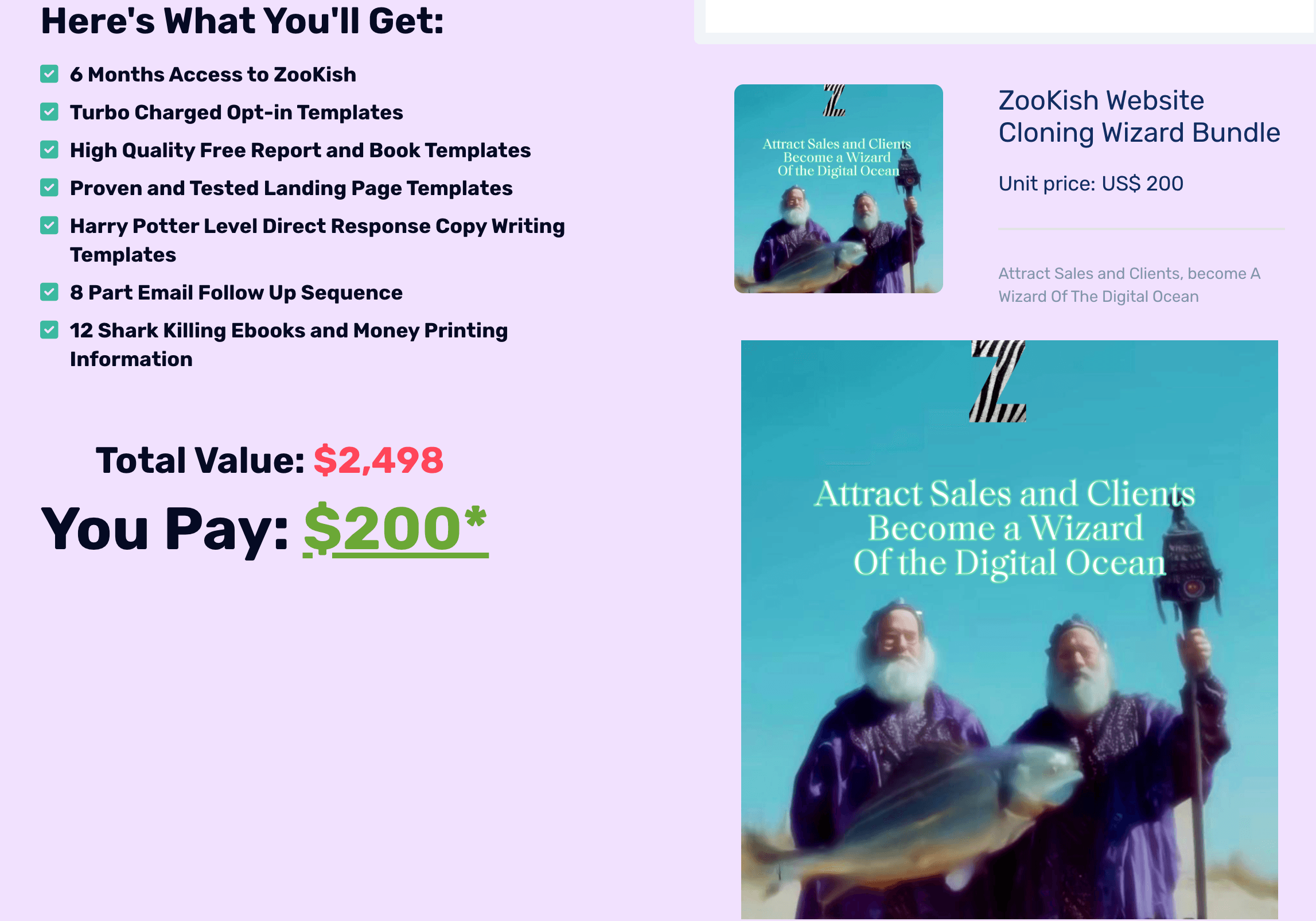 Zookish Website Flipping Secrets (Commissions $50-$100 Per Sale)