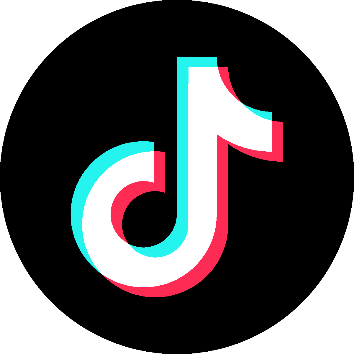 wfh mentor tiktok