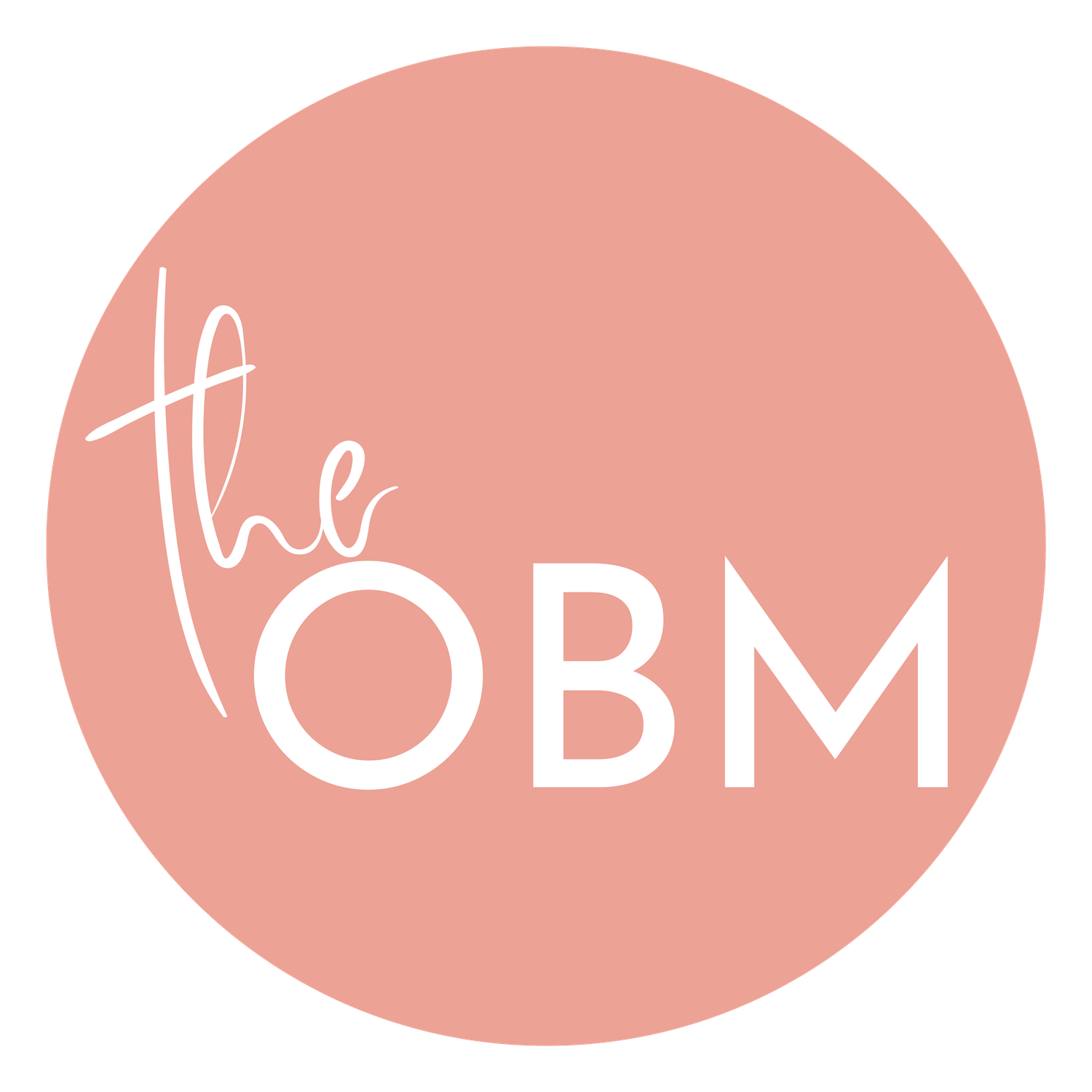 The OBM