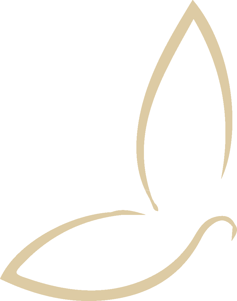 Logo_NEA_Académie