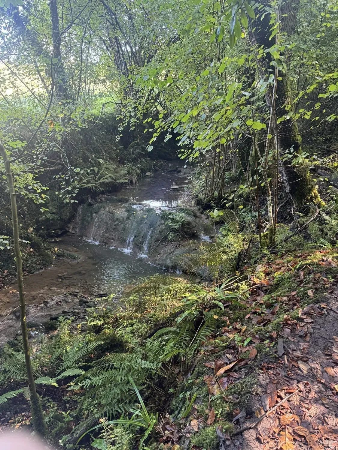 NLP in hipnoza za sproščanje stresa