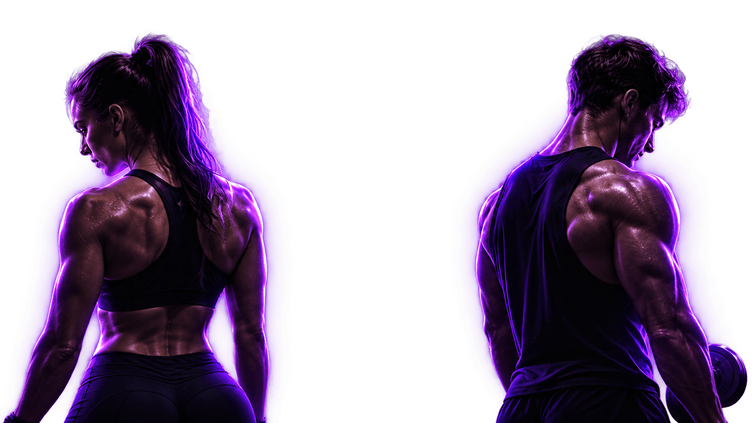 Modelos fitness Power Fit