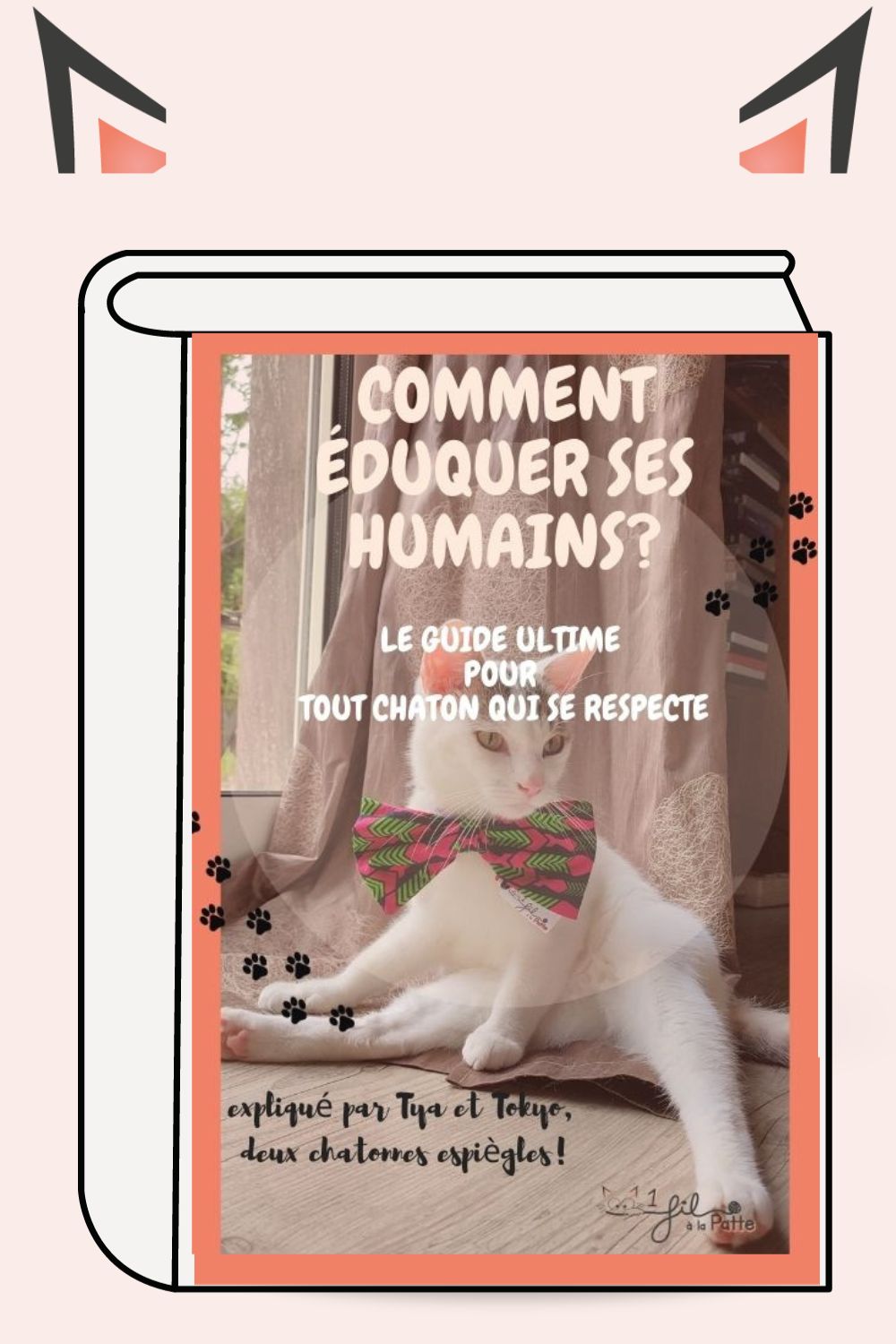 ebook le guide pour éduquer un chaton expliqué par un chaton