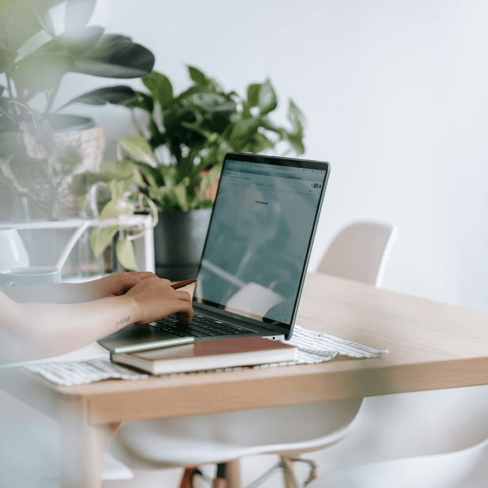 Free Beginner's Guide