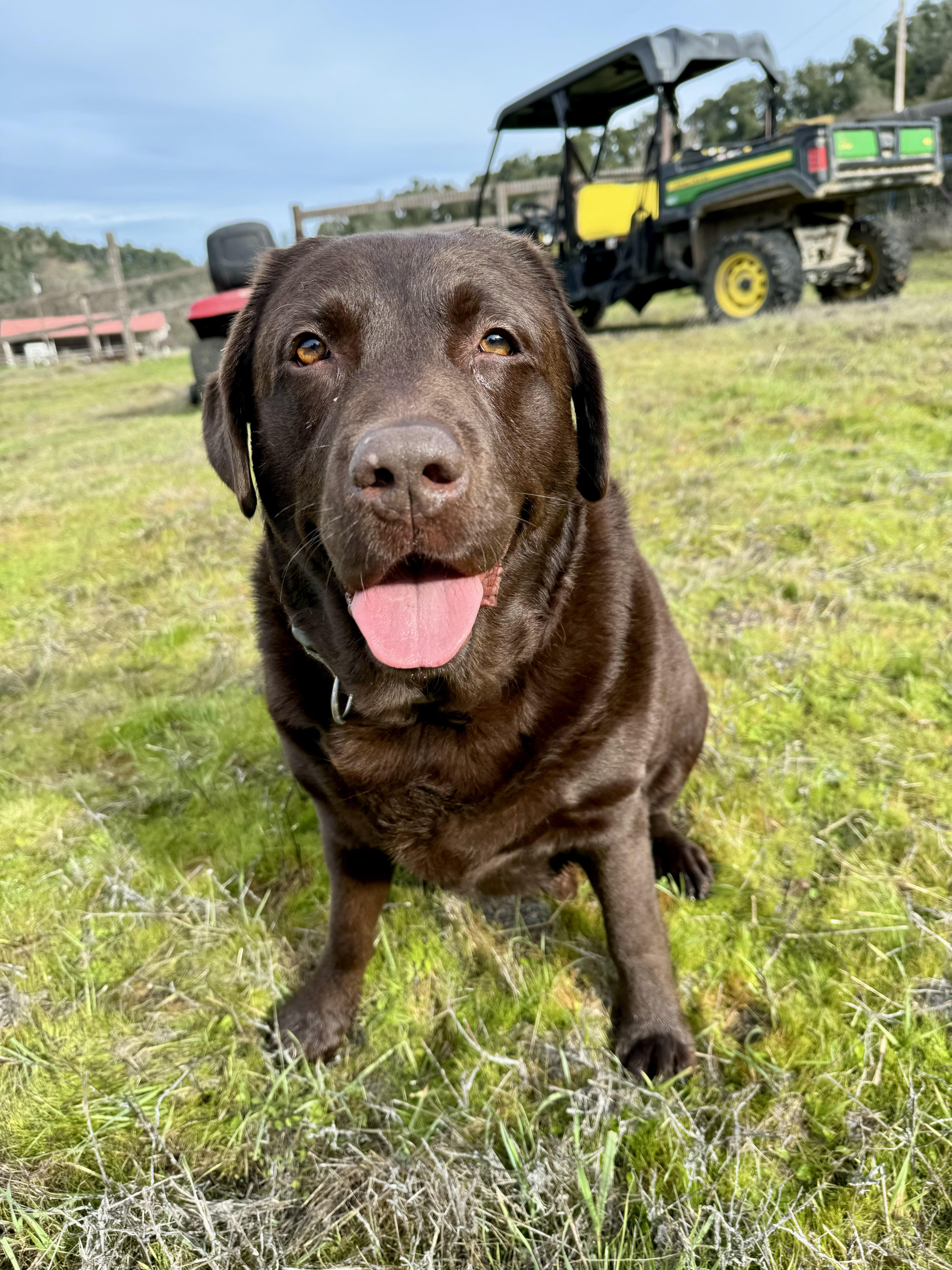Meet Jack