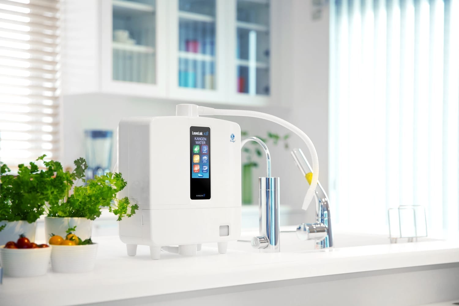 K8 Water Ionizer