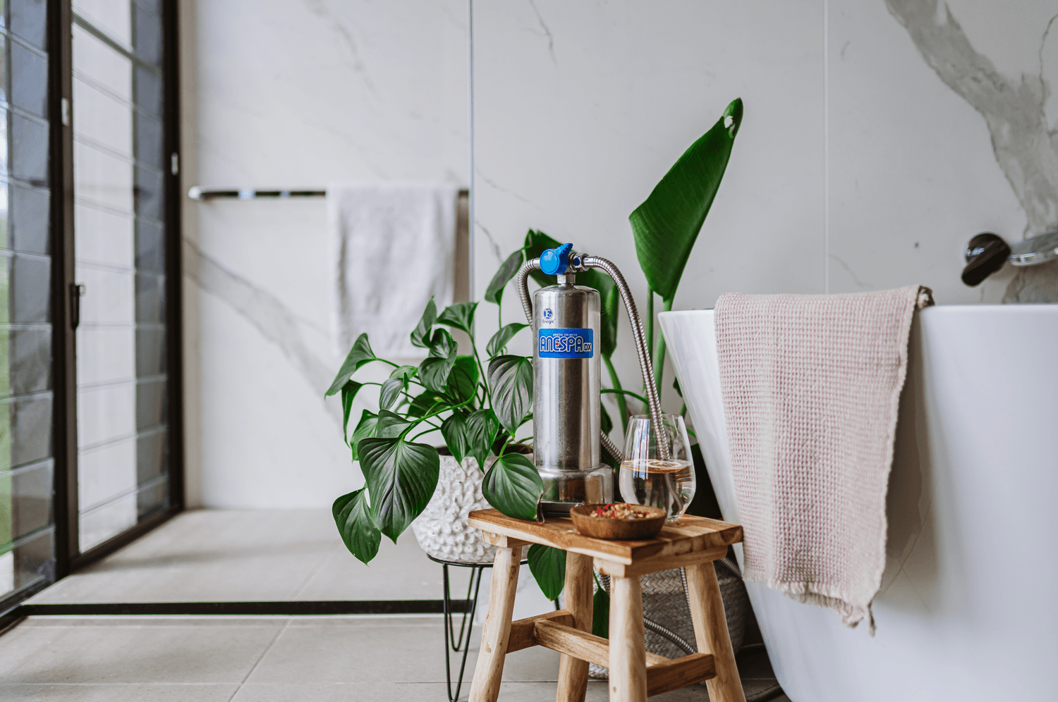 Anespa Shower Filter