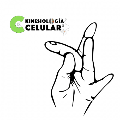 Mudras. La Guía Completa