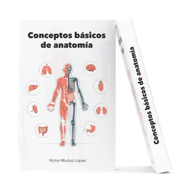 Conceptos básicos de anatomía