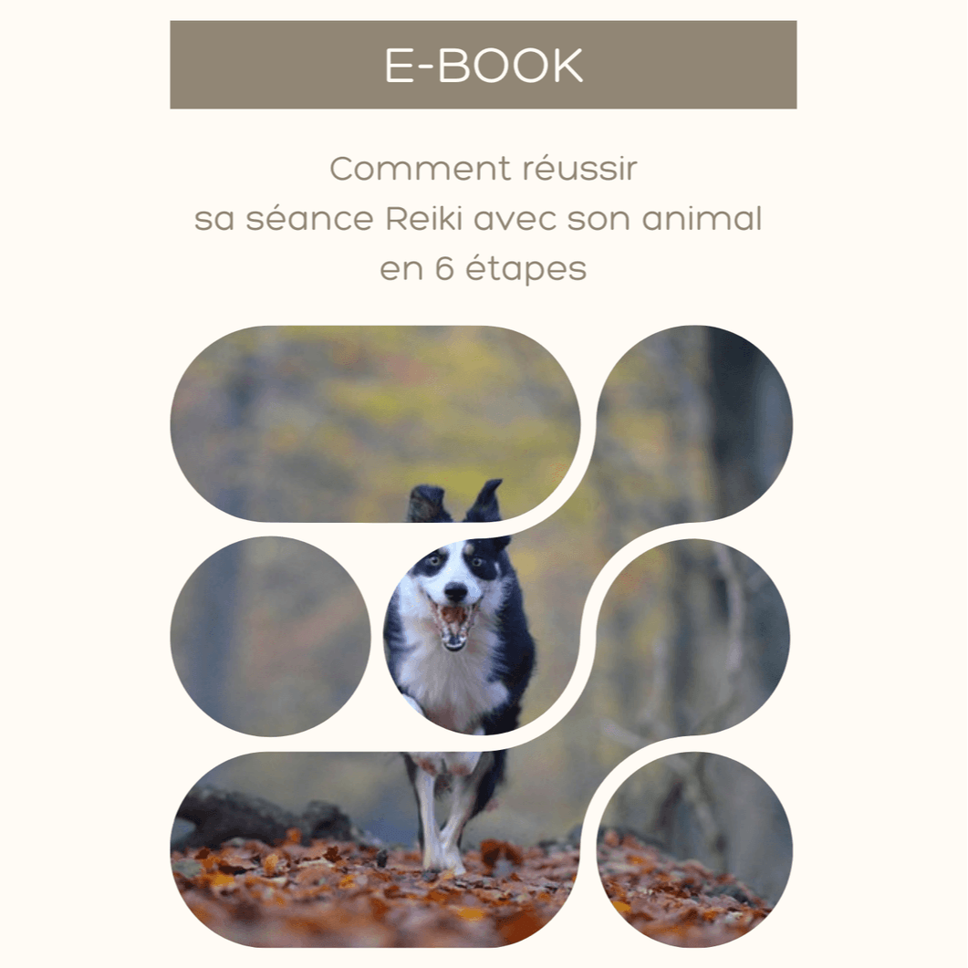 Ebook offert : « 6 étapes simples pour réussir une séance Reiki avec ton animal