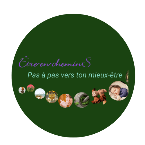 Librairie e-books Etre en chemins